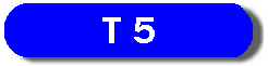 t5